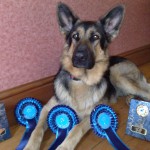 Tali with her rosettes & trophy